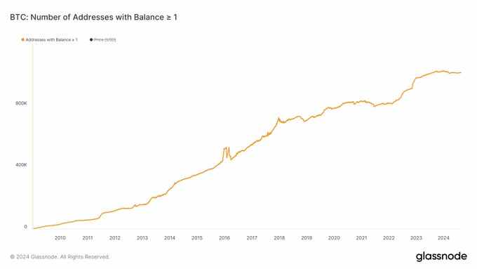 Nombre de portefeuille possédant 1 Bitcoin ou plus en 2024