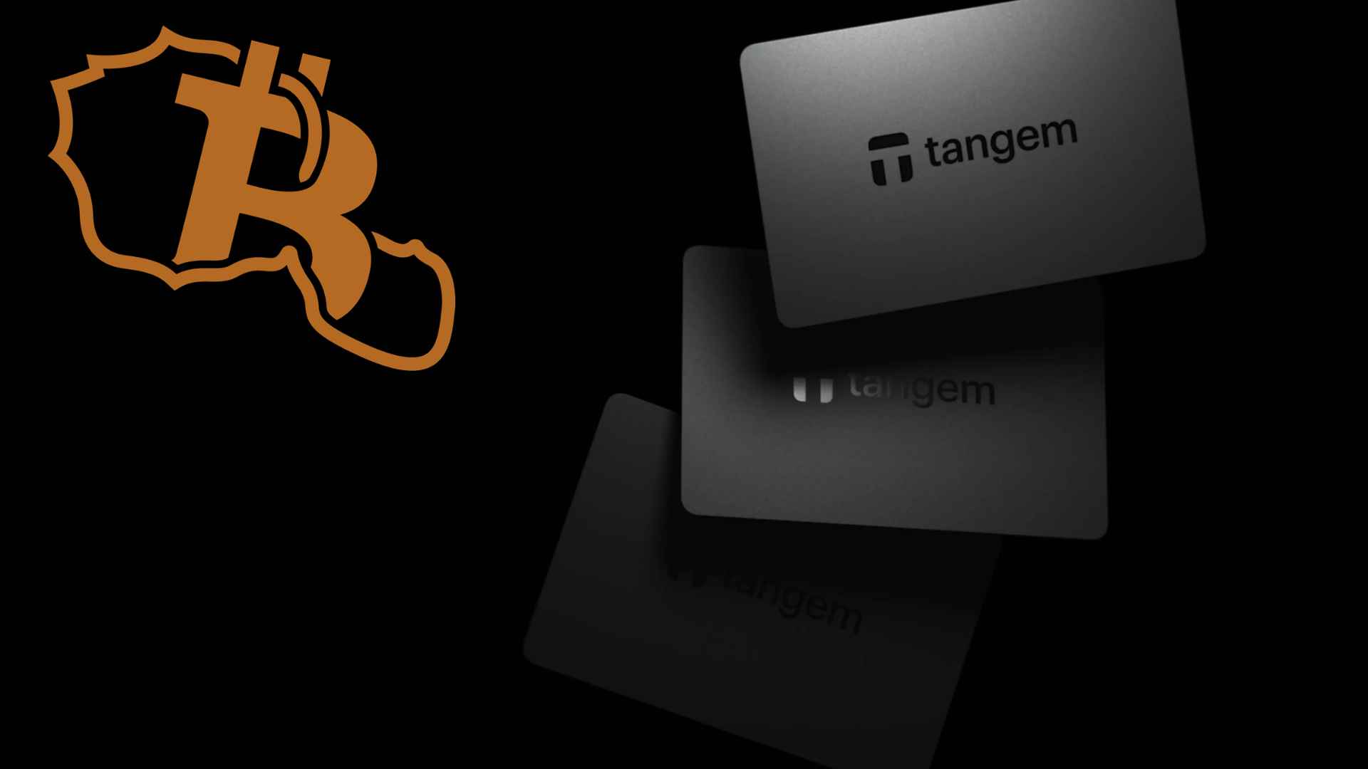 TANGEM Porte-cartes - étui De Protection Pour Cartes (crypto, Badges, Cartes De Visite)