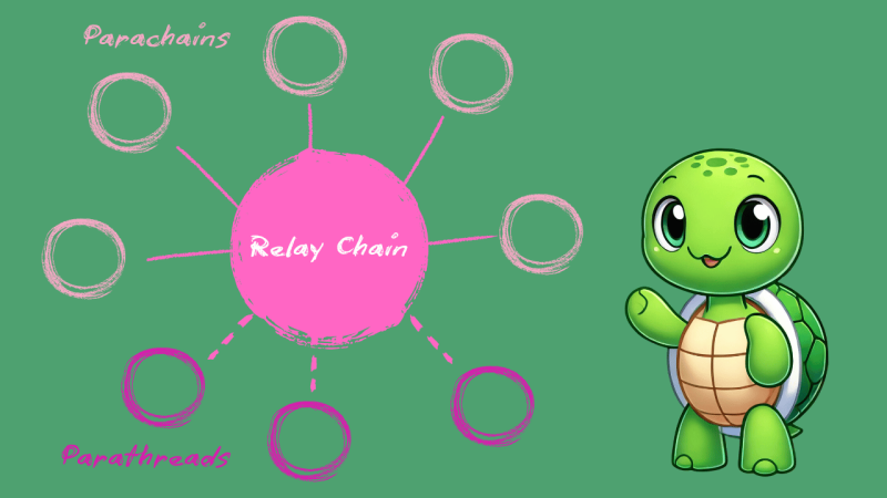 Schéma explicatif des parachains, relay chain et parathread de Polkadot