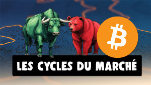 bull bear market