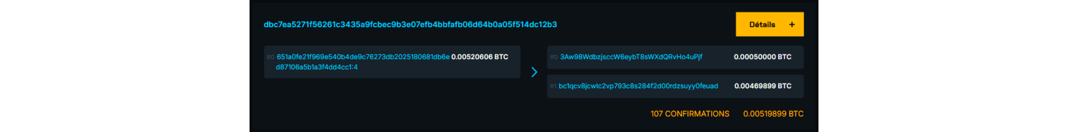 Détail du montant et des adresses concernant cette même transaction sur Blockstream