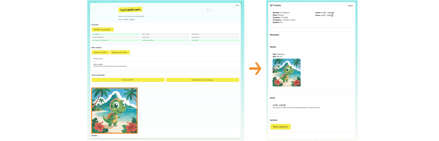 Visualiser son NFT et ses informations sur la dApp DinoTools.